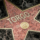 الصورة الرمزية TORGO