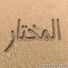 الصورة الرمزية المختار